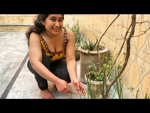 Home cleaning hot vlog || desi hot vlog 🔥 || Zoya family vlog