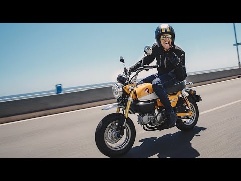 Honda Monkey 2021 | Sport | Moto Sportive