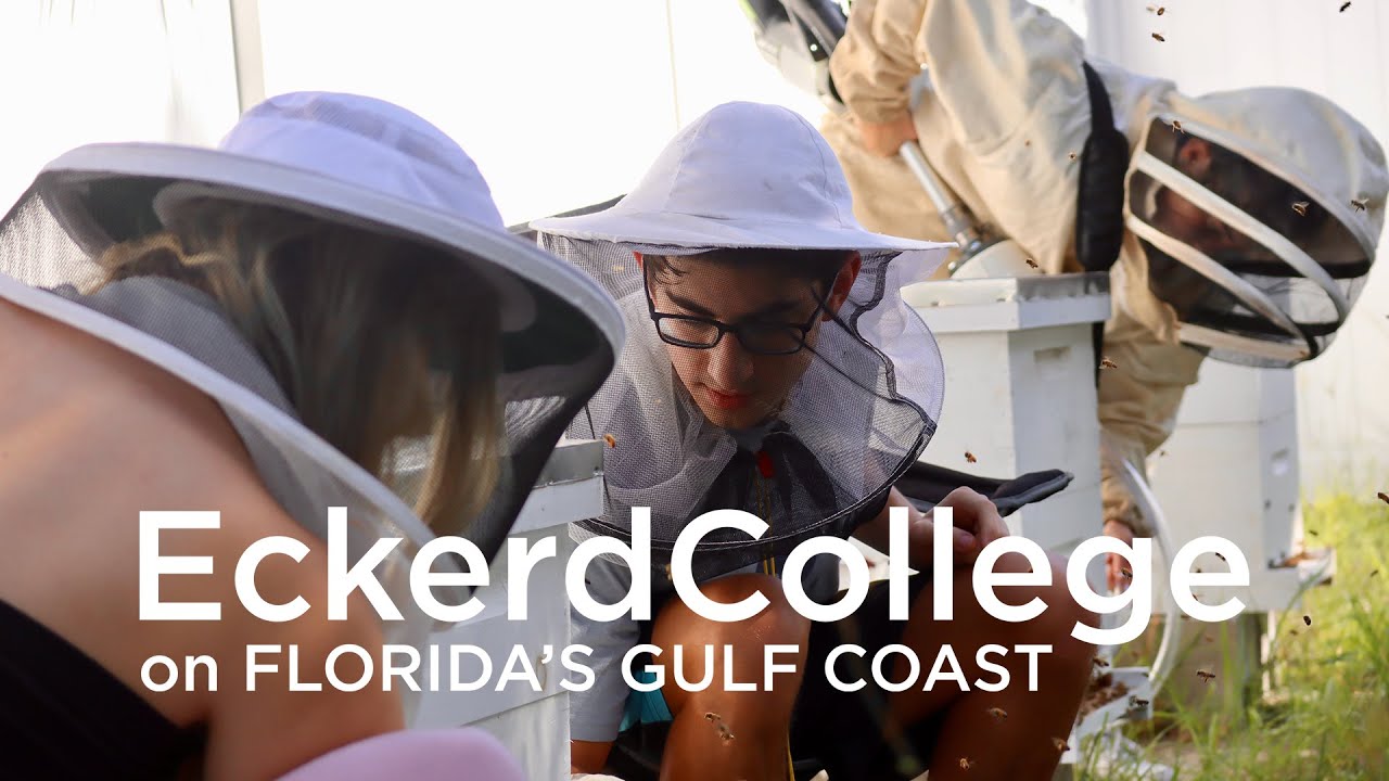 Honey Bee Research at Eckerd College