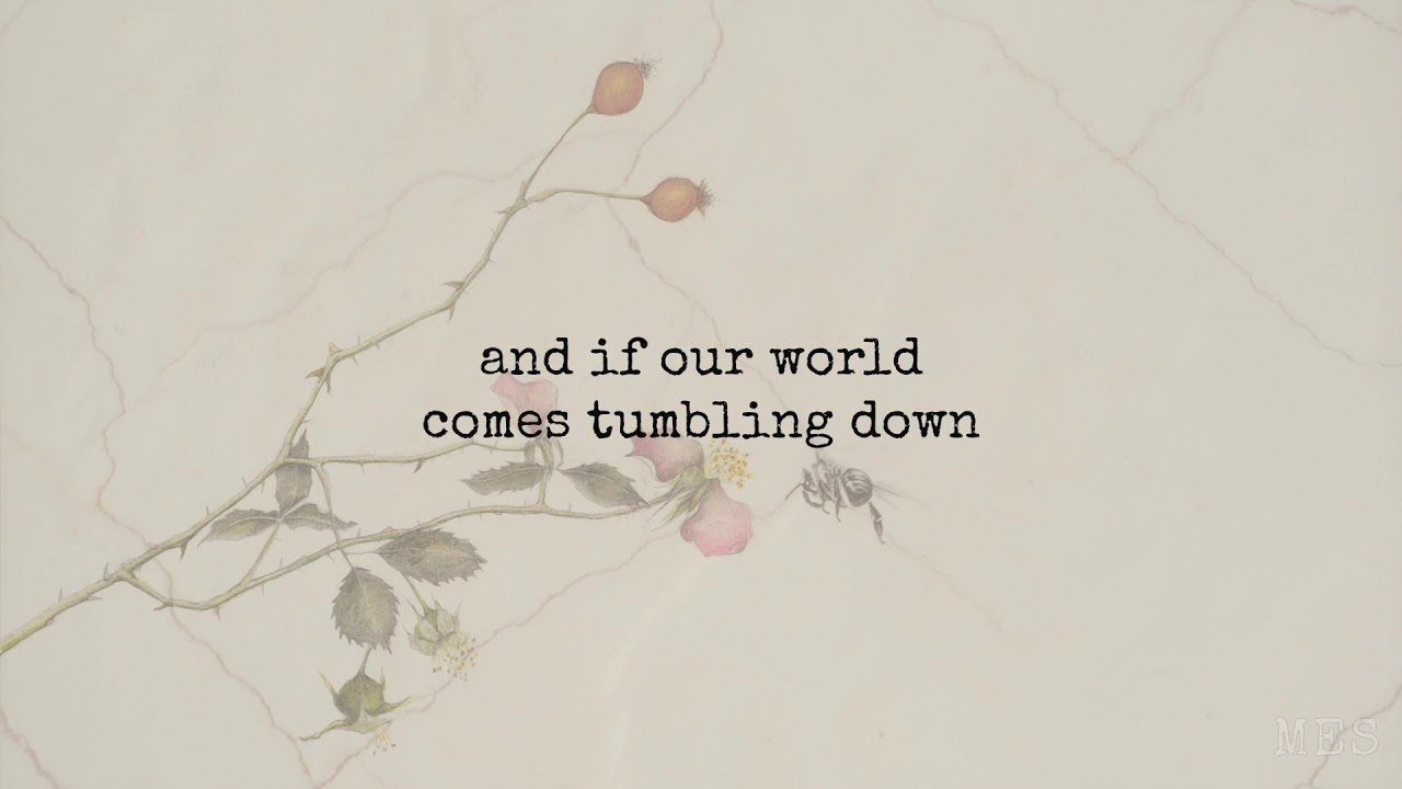 Honeybee | The Head and the Heart | Lyrics ☾☀