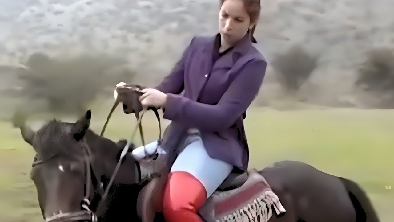horse riding training girl | skilled rider! girl | horse back ride | #horse #funny