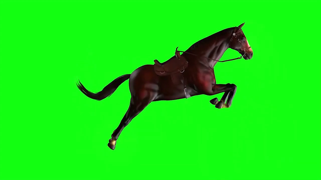 Horse Running Green Screen