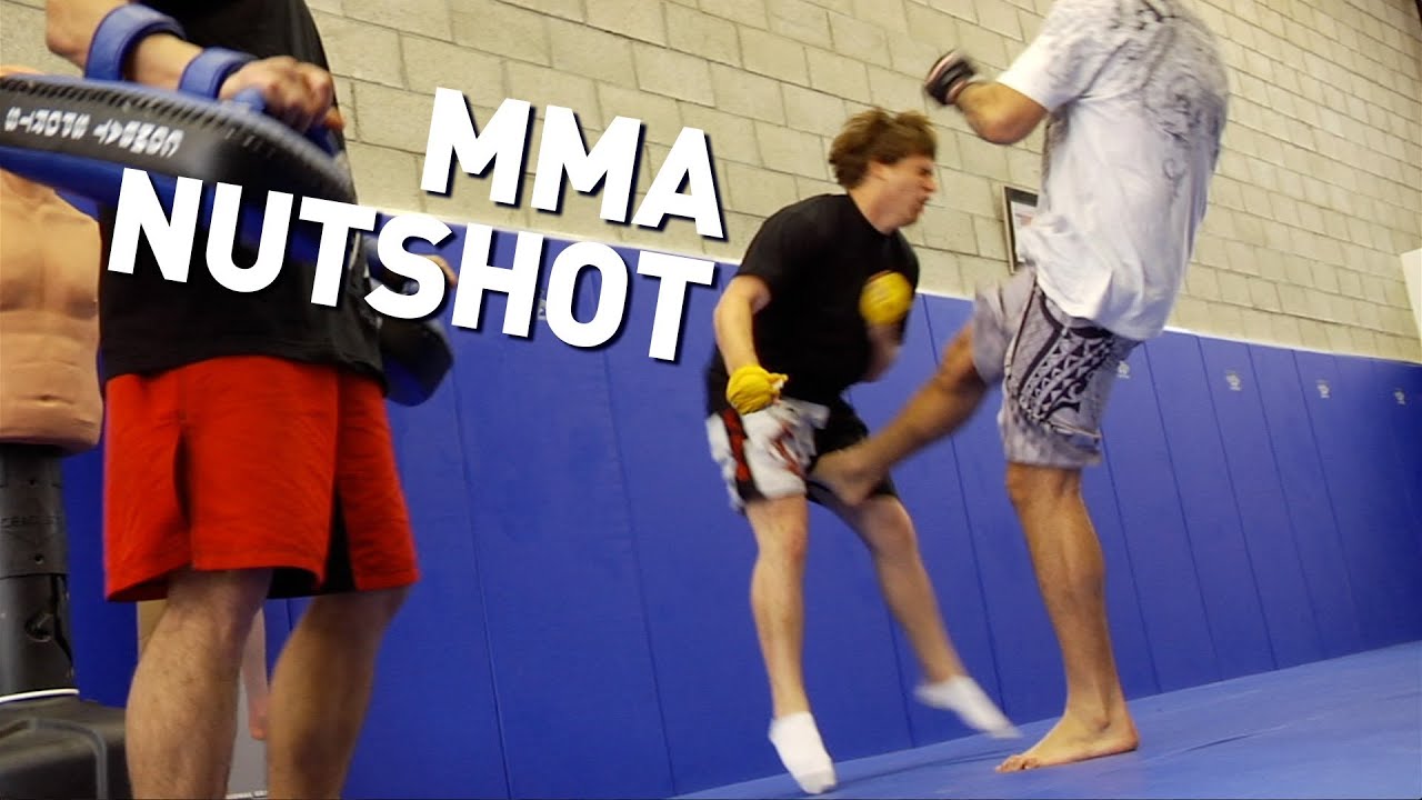 Horse Takes MMA Kick To The Nuts