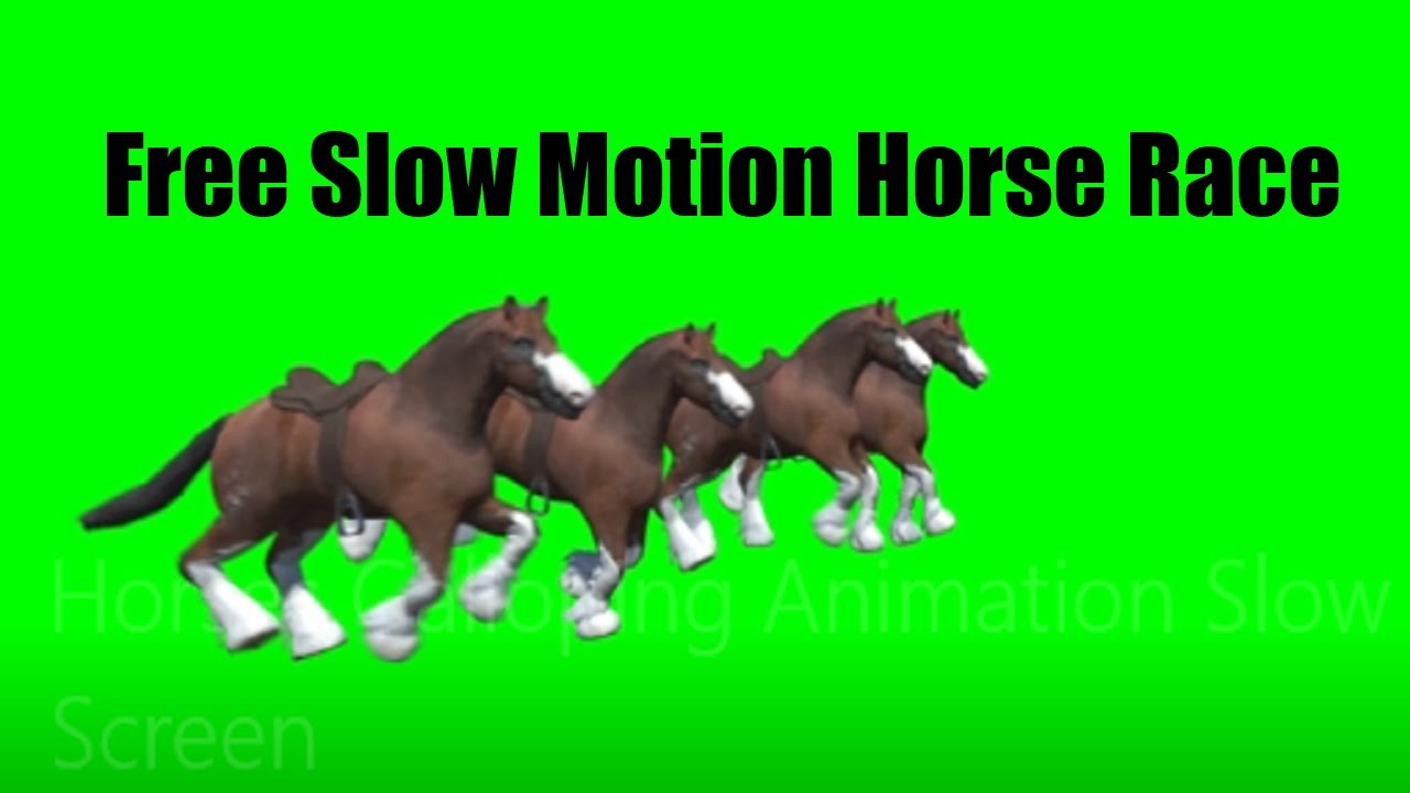 Horses Galloping Animation Slow Motion Pack Green Screen