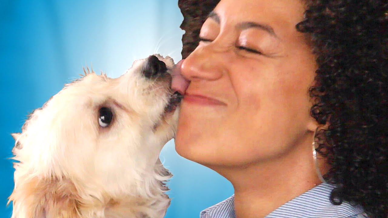 How Long Can You Stand Puppy Kisses?