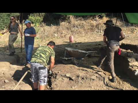 How to Archaeology (Excavation) ⛏