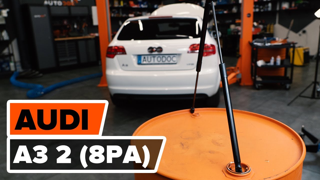 How to change gas struts / tailgate struts on AUDI A3 2 (8PA) [TUTORIAL AUTODOC]