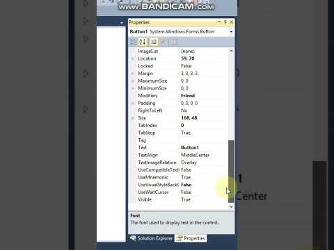 How to create a custom button using VB.Net
