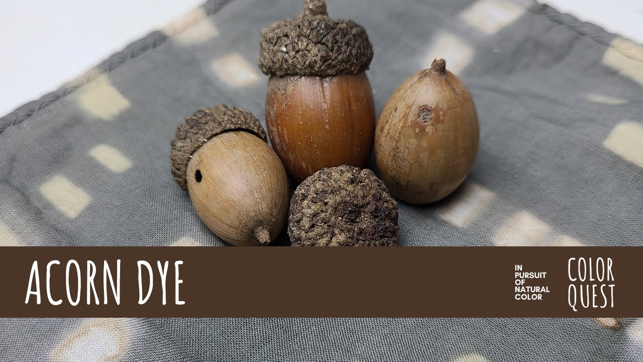 HOW TO MAKE NATURAL DYE WITH ACORNS | ORGANIC COLOR | BEIGE BROWN BLACK GREEN | TANNIN | SHIBORI