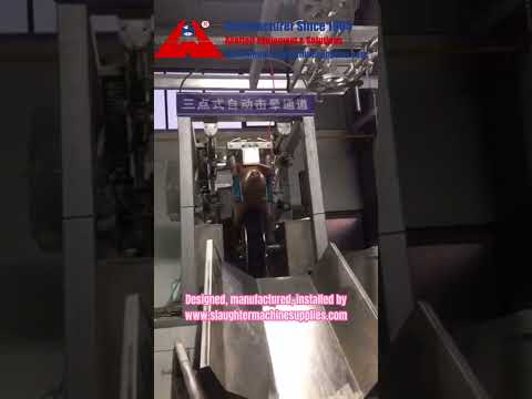 How to slaughter a pig in a humane way - high-tech modern hog slaughterhouse pork processing factory