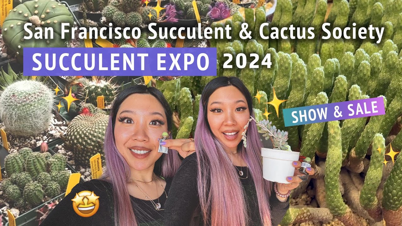 HUGE SUCCULENT PLANT SALE + SHOW 🌵😍 San Francisco Succulent and Cactus Society Expo Tour 2024