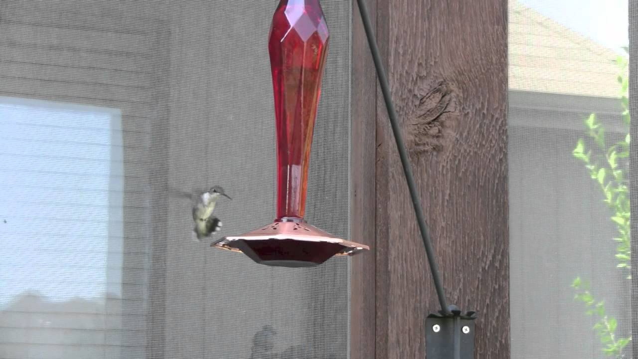 Hummingbird Games