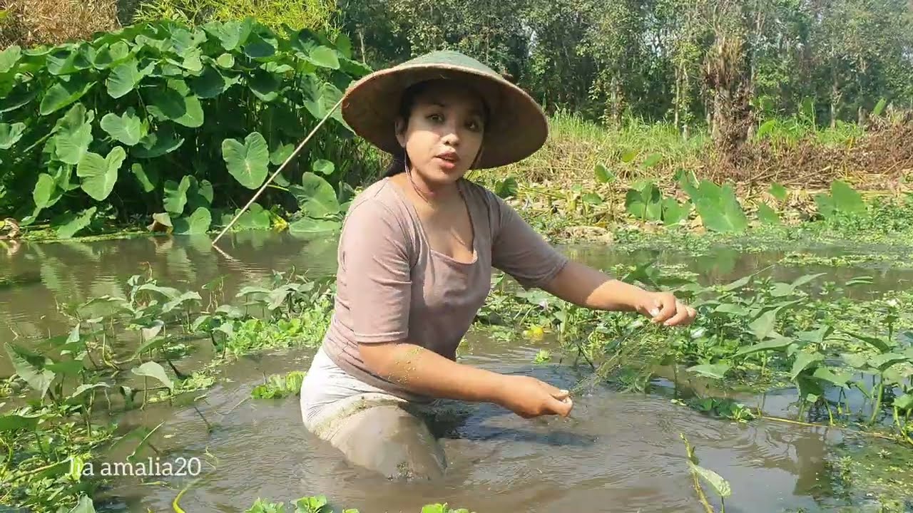 Hunting fish | fish hunting