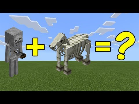 I Combined a SKELETON and a SKELETON HORSE in Minecraft - Here's WHAT Happened...