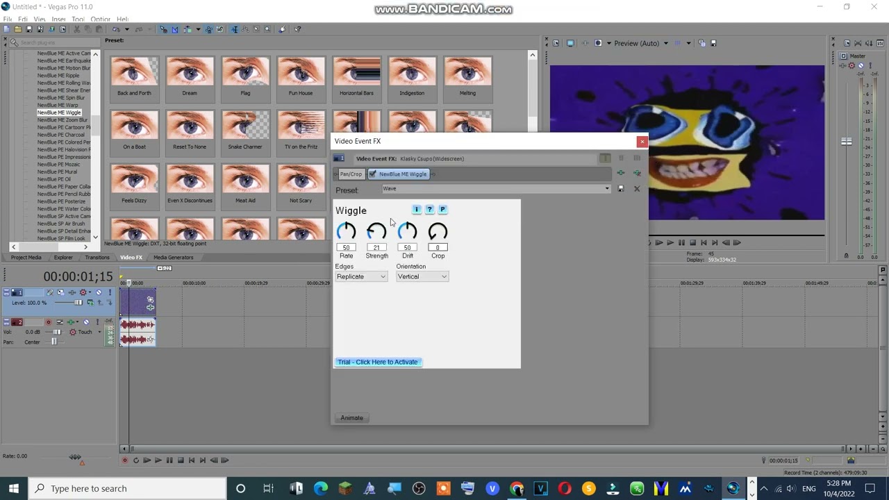 I Got NewBlueFX Pro Now!