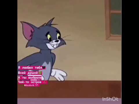 iň gowy pirkol didar
