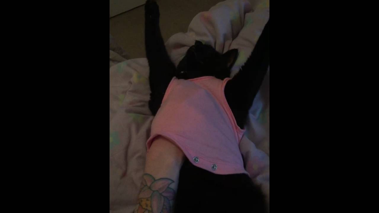 I think it's broken..