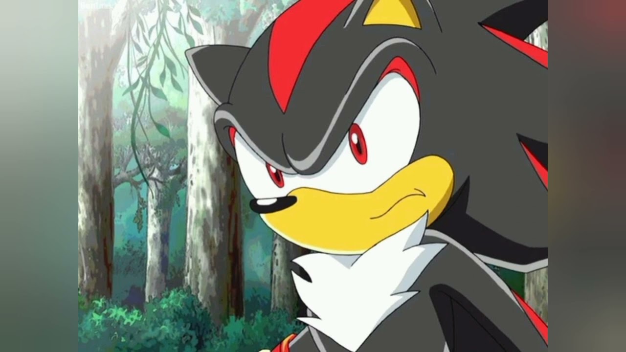 Impressions: Shadow the hedgehog