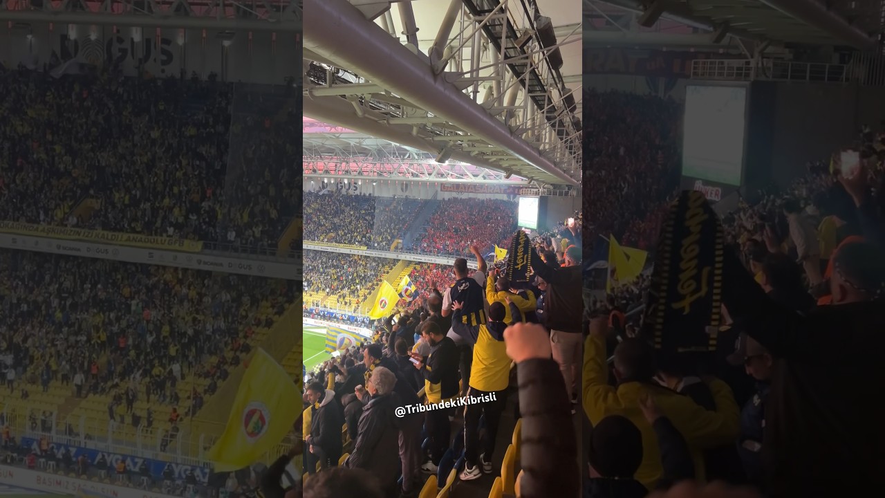 Şinanay yavrum şina şinanay………… #fenerbahçe #galatasaray #derbi #penalti