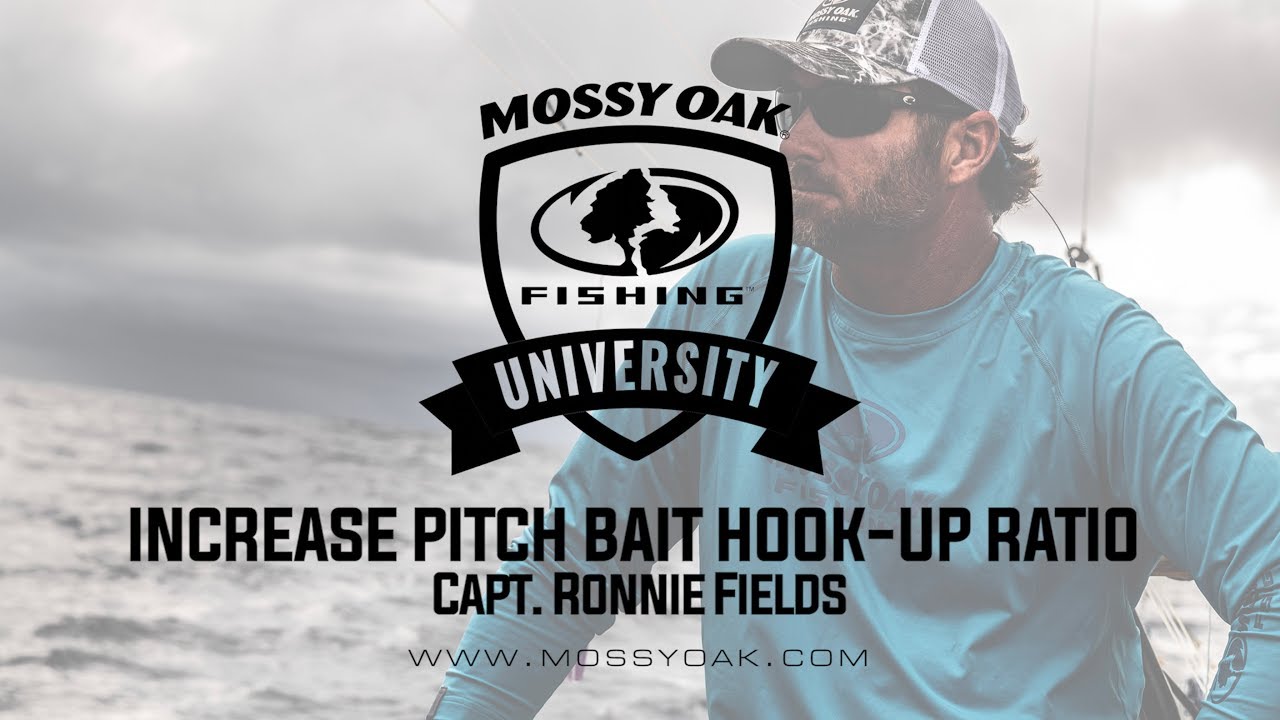 Increase Blue Marlin Hookup Ratio with Pitch Baits