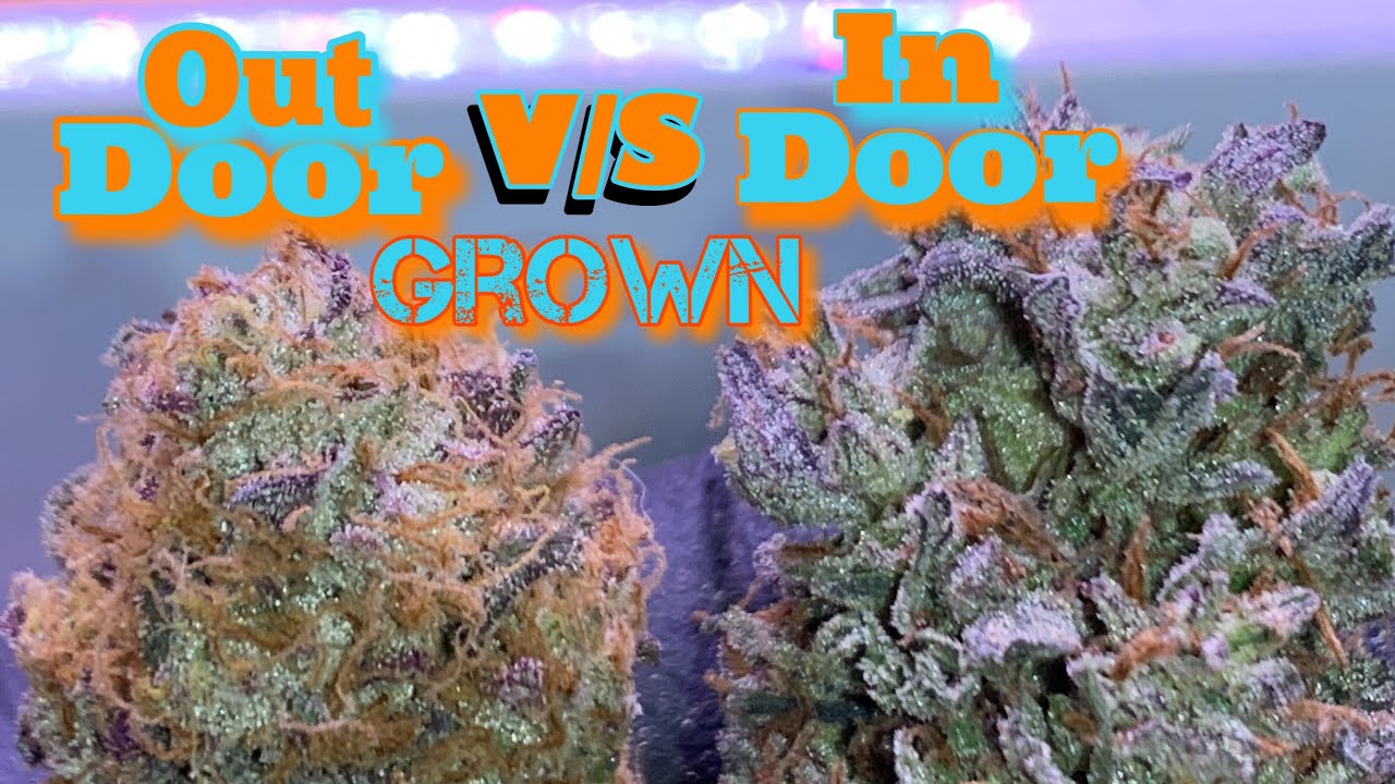 Indoor vs outdoor
