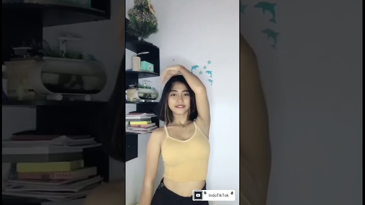 IndoTikTok - @pirginnnnn