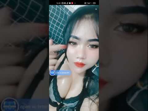 INES PVT