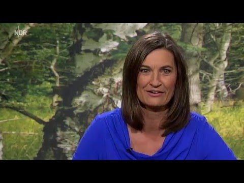 Inka Schneider - 2016-03-15 - DAS!.mp4
