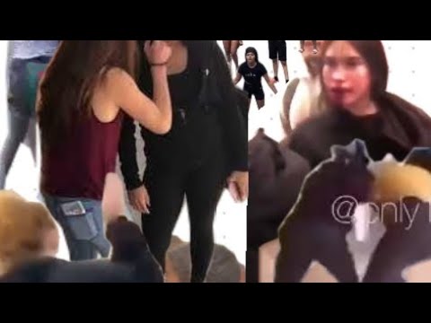 INSANE fighting compilation👀💀