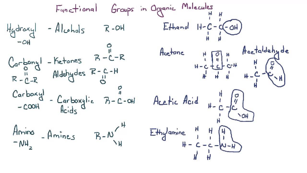 Introduction to Biology   5   Cell Chemistry
