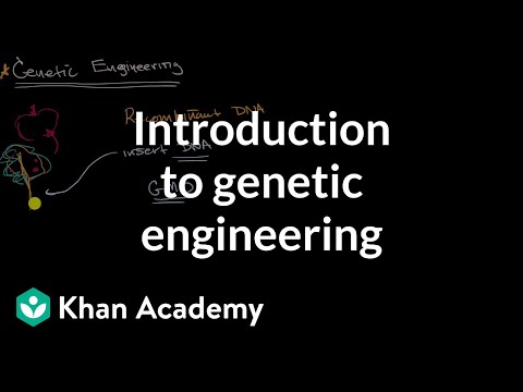 Introduction to genetic engineering | Molecular genetics | High school biology | Khan Academy