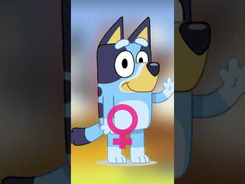 Is Bluey a Boy or a Girl?? #shorts #bluey