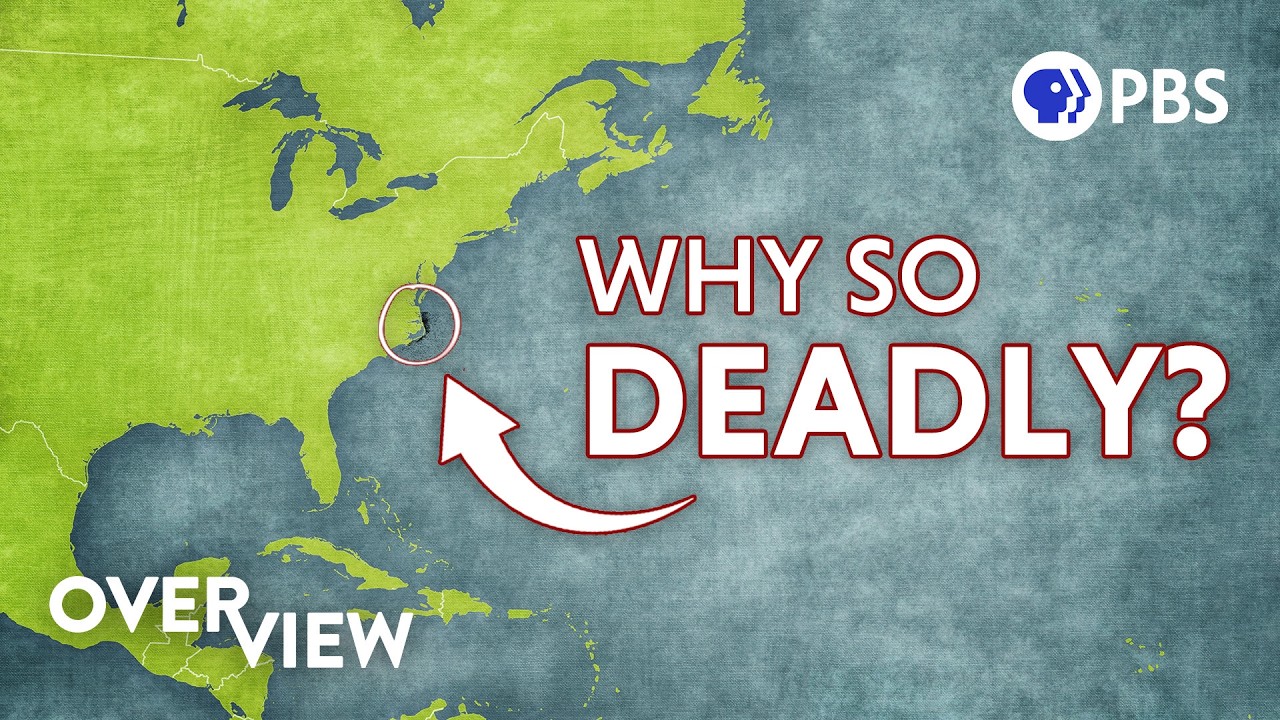 Is This Earth’s Most Treacherous Coastline?