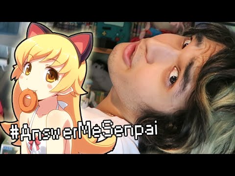IT'S THE NEKO RAP, YO!! #AnswerMeSenpai