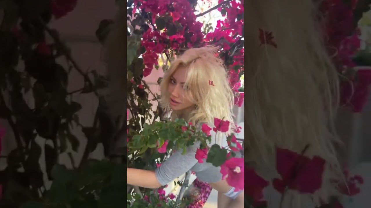 Ivy wolfe🌺🌺#Beautiful women#shorts #viralshorts #ytshorts
