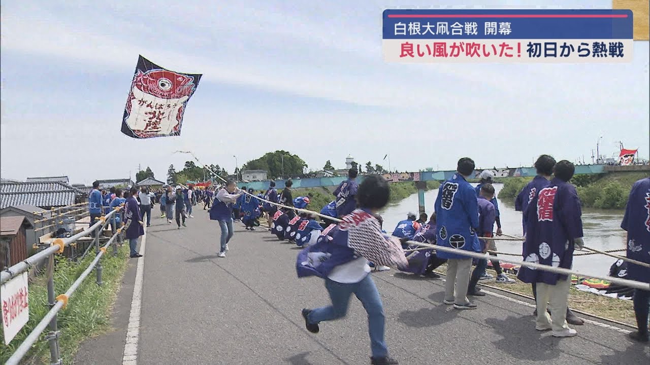 いざっ！「白根大凧合戦」開幕－初日から熱気に包まれる【新潟･南区】スーパーJにいがた6月6日OA