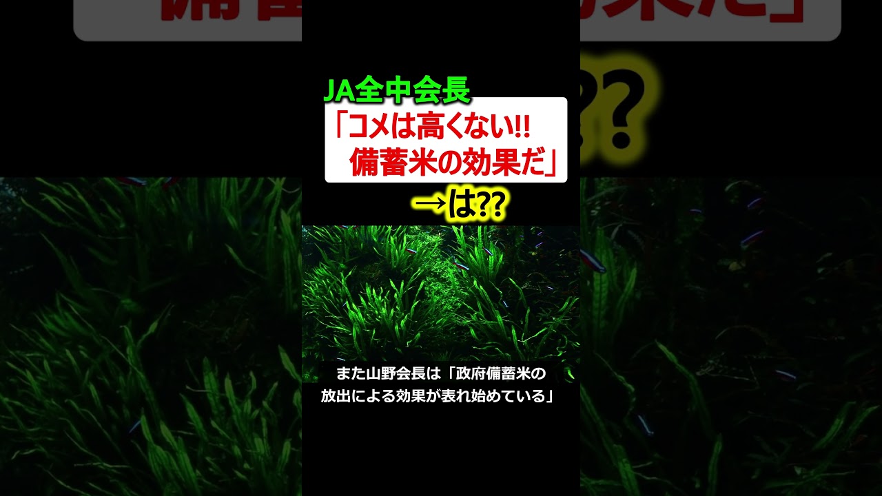 JA全中会長「コメ高くない!! 備蓄米の効果だ」→批判が殺到!!