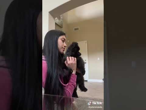 Jailyne Ojeda Flare Pants Twerk