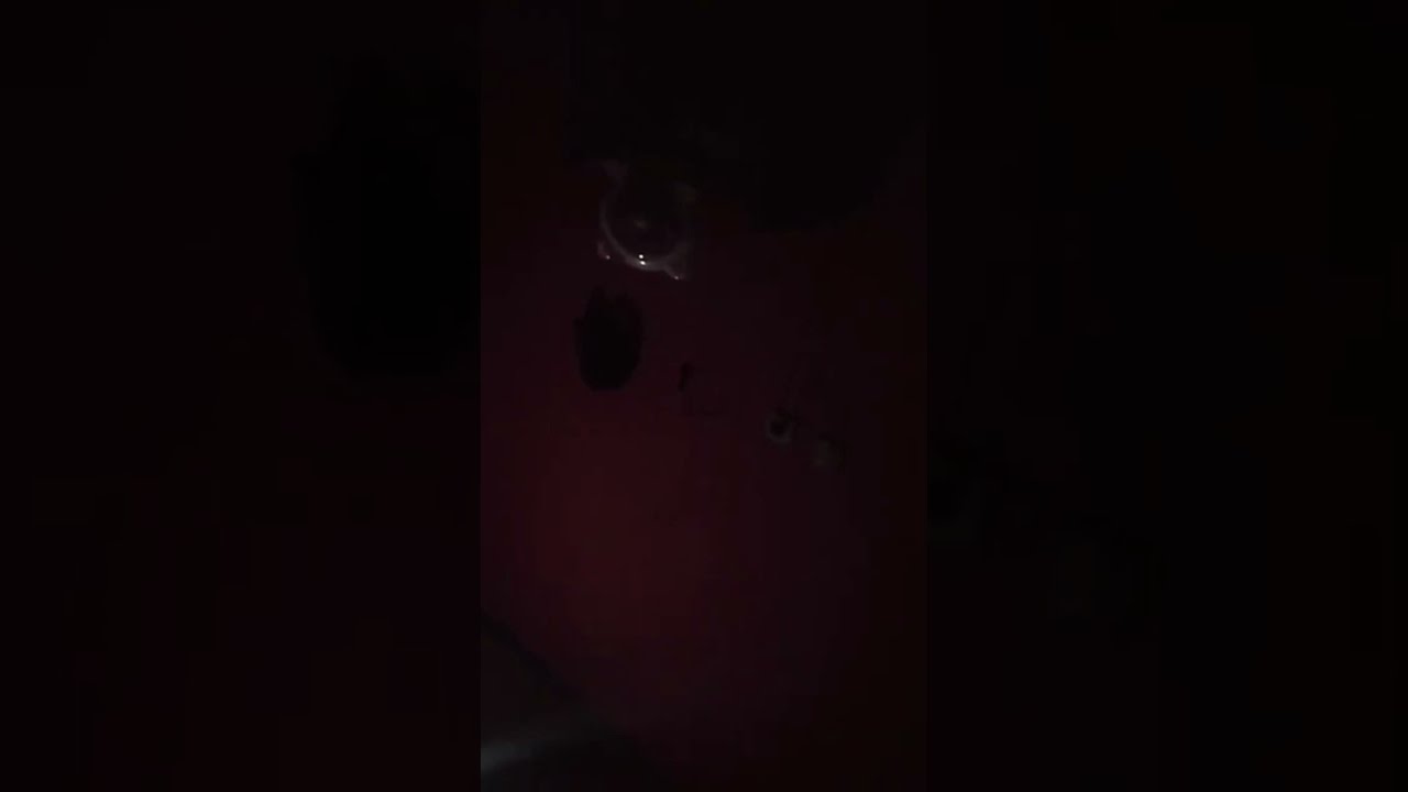 JAJAN PSK MAEN DI ROOM ASYIK UMUR 21 MEDESAHH