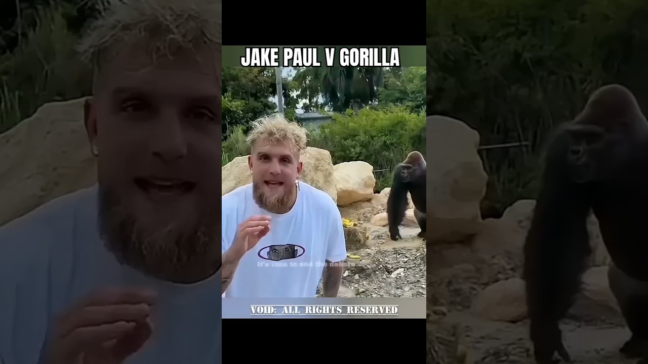 JAKE PAUL IS COOKED ☠️☠️
