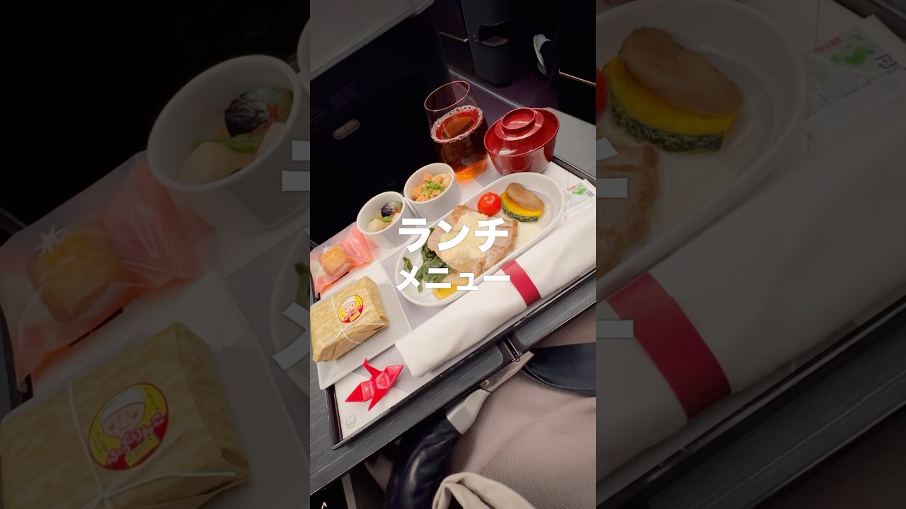 JAL国内線の機内食を正直レビュー！