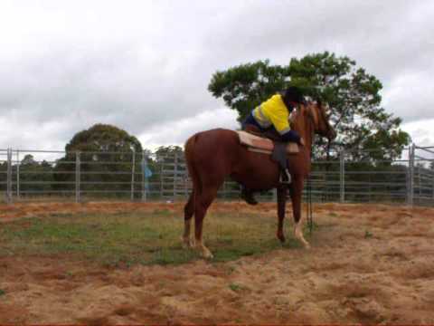 Jamely ridden 003.avi