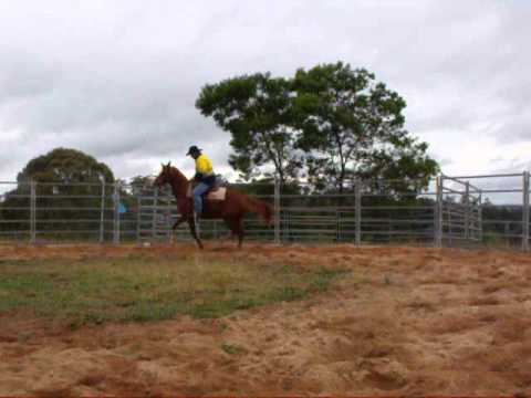 Jamely ridden 005.avi