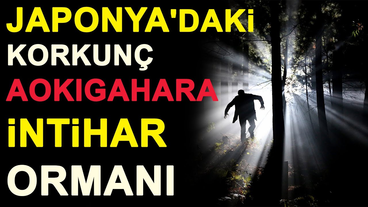 Japonya'daki korkunç Aokigahara intihar Ormanı