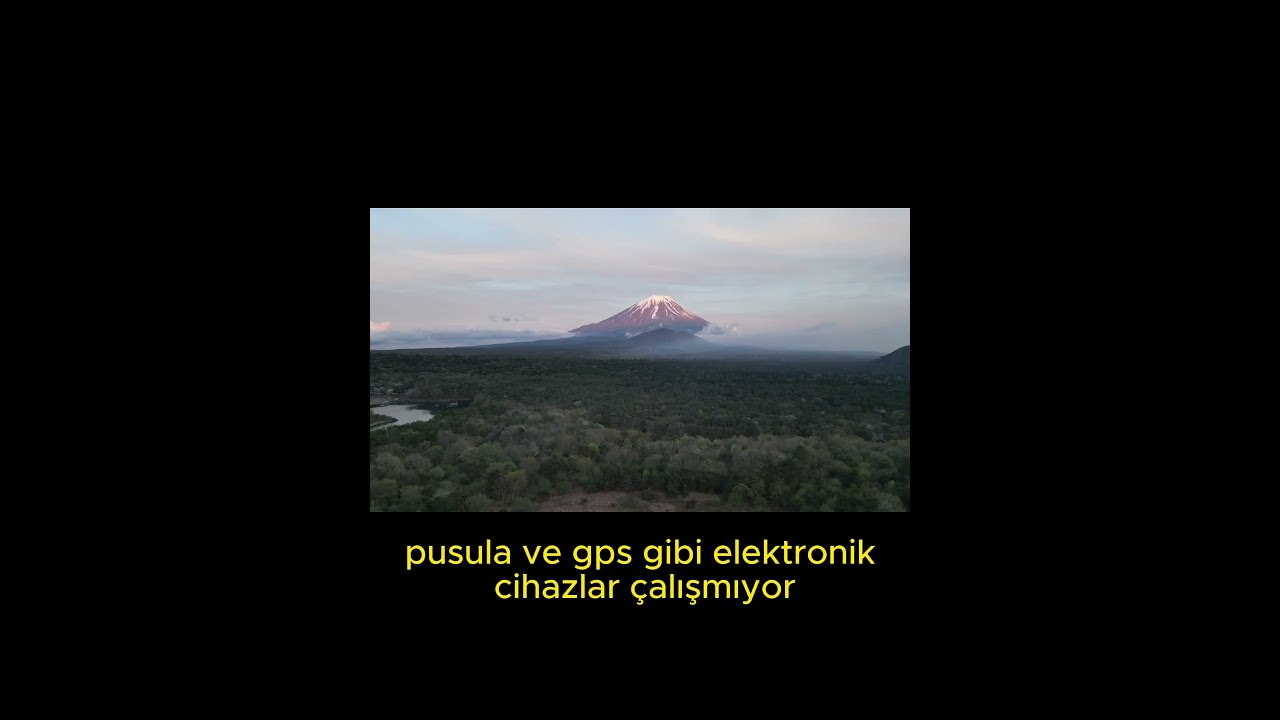 Japonya'daki Ölüm Ormanı