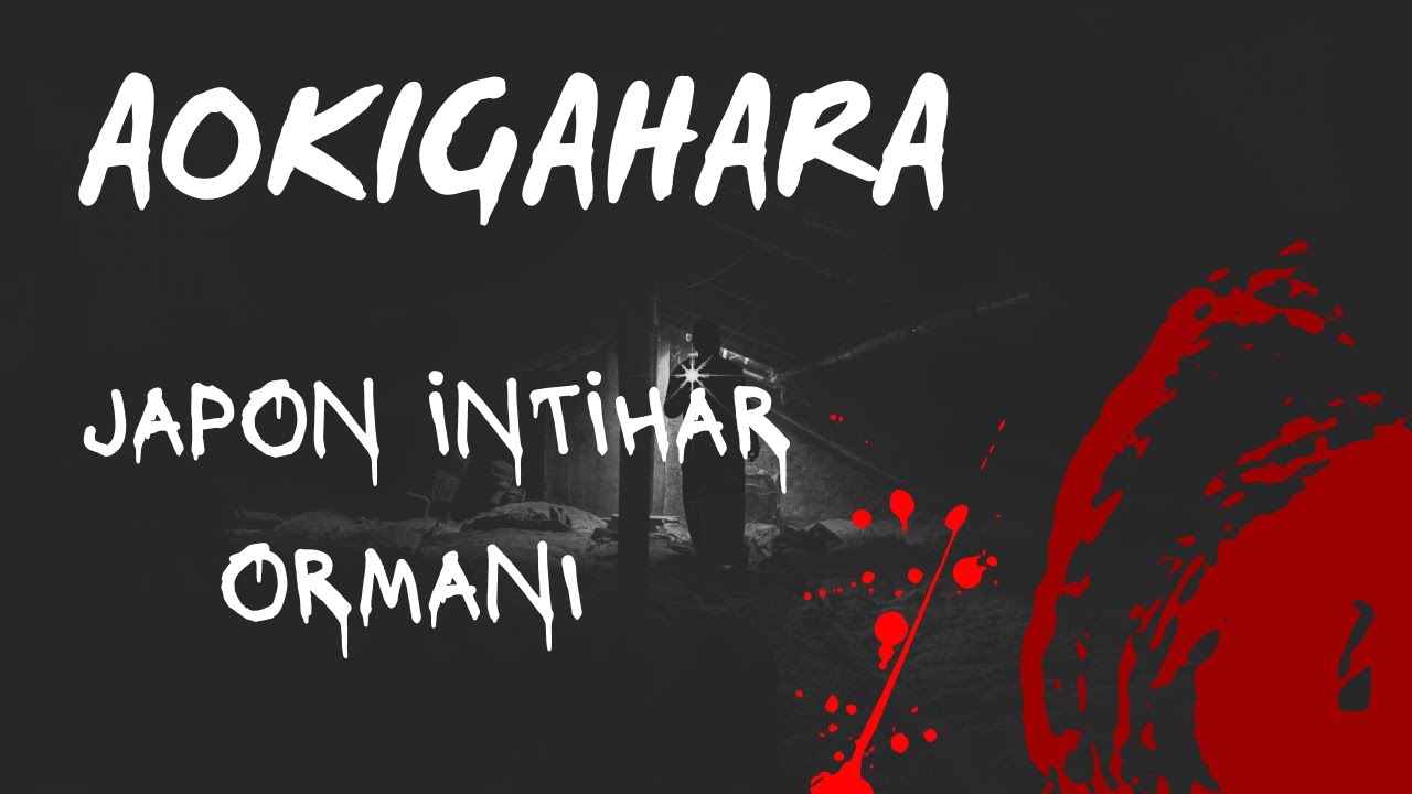 JAPONYANIN KARANLIK YÜZÜ! AOKİGAHARA