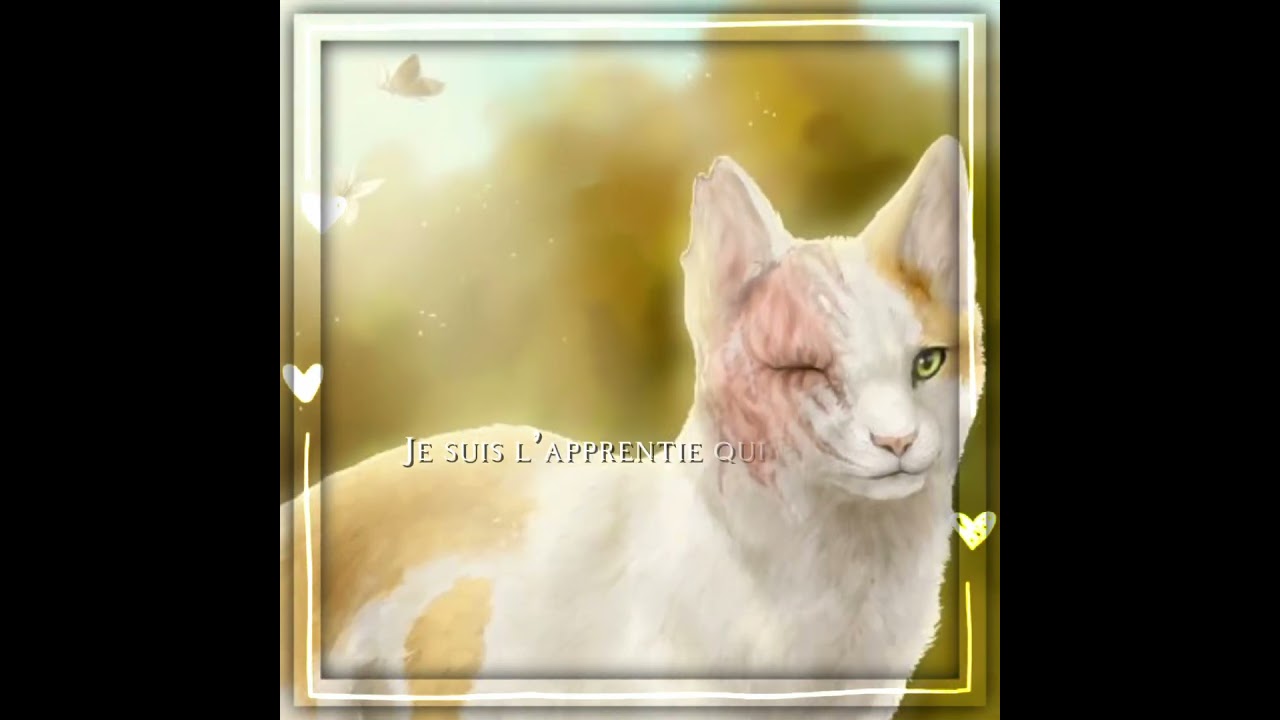 Je n’ai qu’une philosophie |Coeur Blanc| { no template } #lgdc #warriorcats