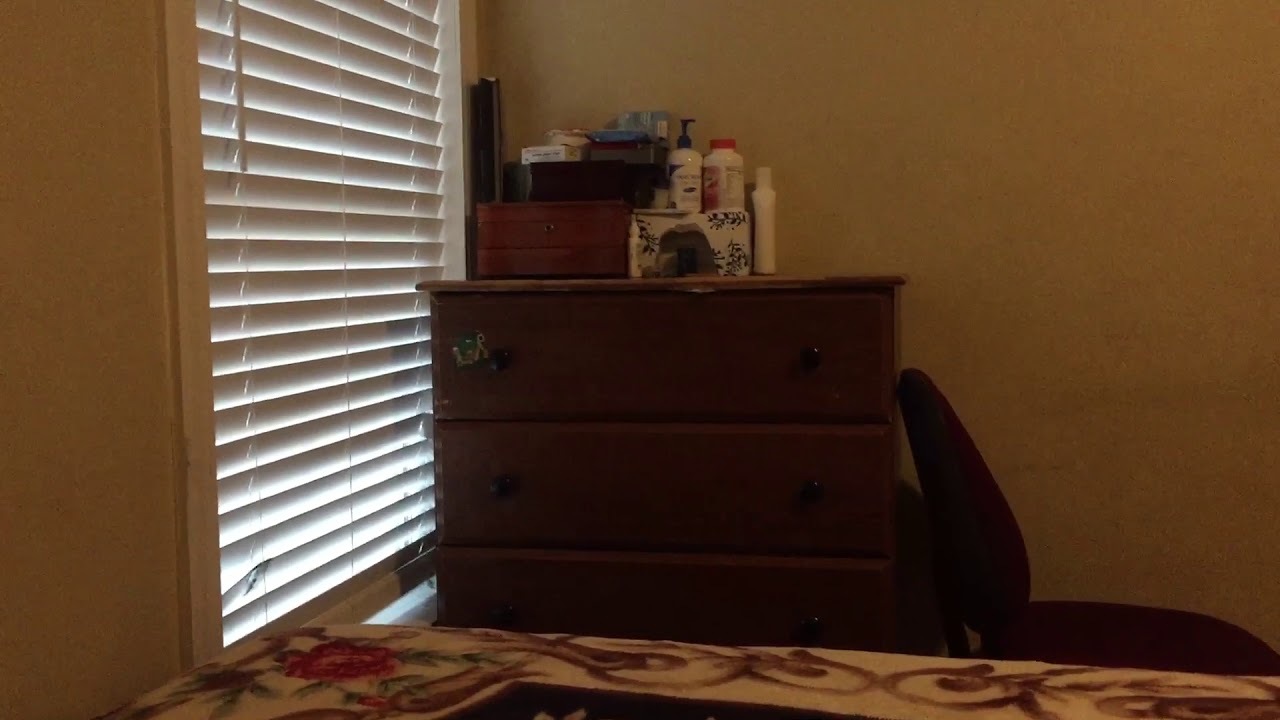 Jeffy’s Fap Off Friday ( very graphic)