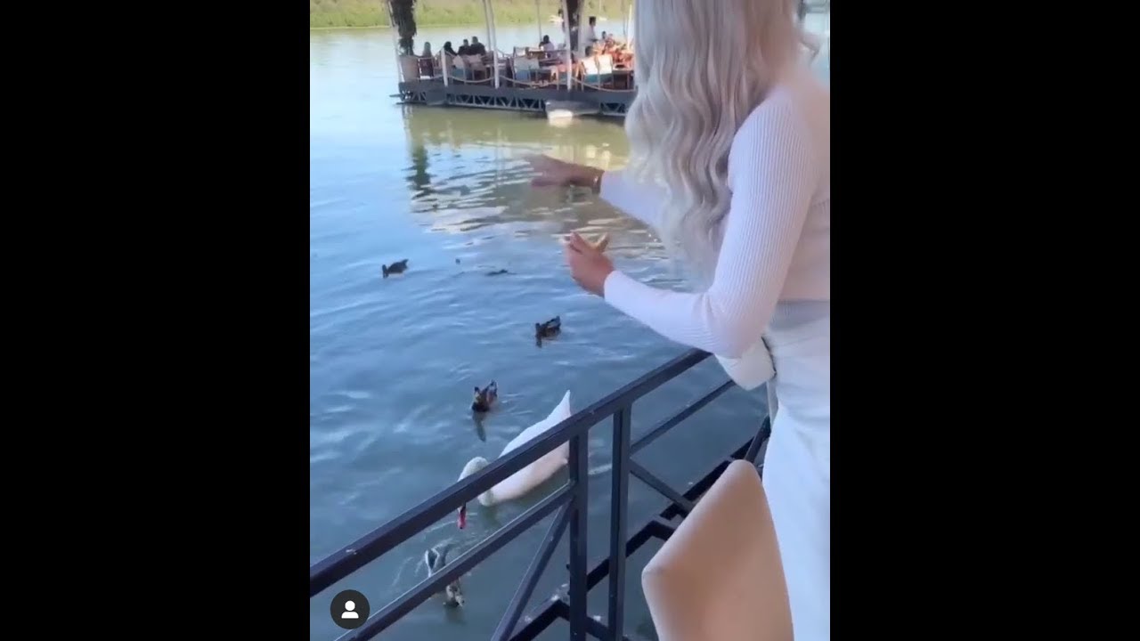 Jelena Karleusa Hrani Labude