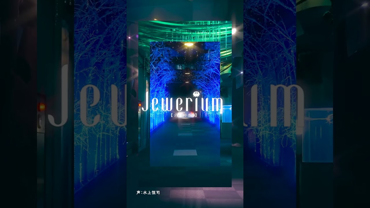 Jewerium （ジュエリウム） #新江ノ島水族館 #えのすい #水上恒司 #江ノ島 #湘南の宝石 #イルミネーション #水族館 #aquarium